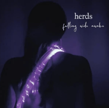 HERDS Unleash ‘Falling Wide Awake’: A Mind-Bending Psychedelic Rock&nbsp;Experiment!