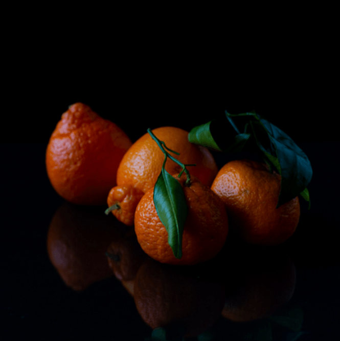 What Makes ARCHITRAVE’S Latest Album “Out of My Mind and Into Yours”&nbsp;Unmissable?