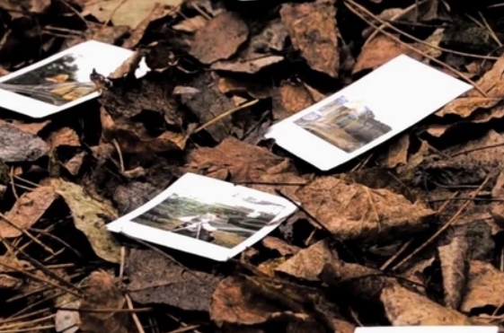 Northern Sand Returns With New Single ‘AUTUMN LEAVES’: The Soundtrack for the Soul