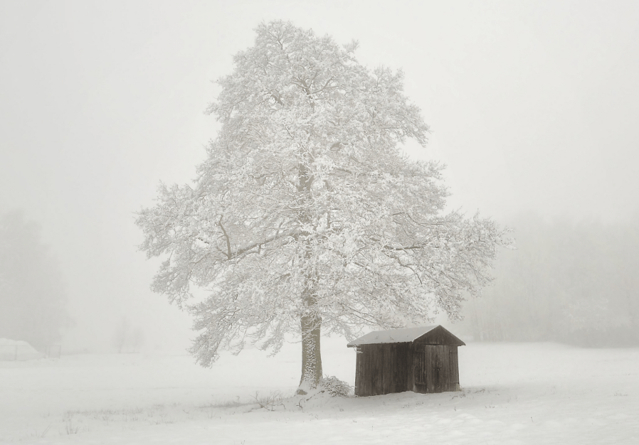 Winter Solstice by Michael Evan Moore Is Enchanting and Masterfully Brings Winter’s Essence Into&nbsp;Sound