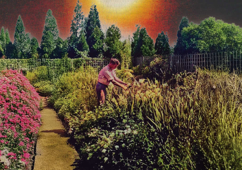 Between Psychedelia and Restraint, Skinny Dippers Carves Out a Moment of Balance