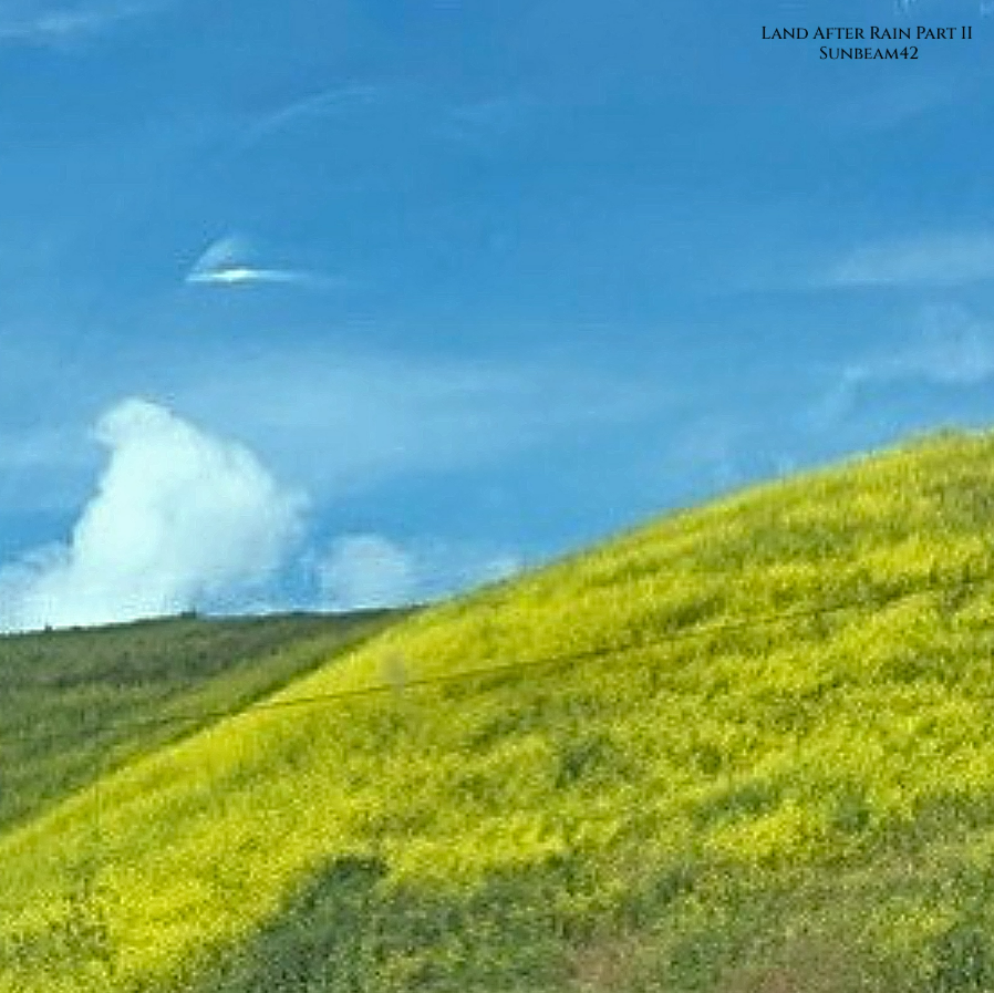 With ‘Land After Rain, Pt. 2’, Sunbeam42 Pushes Ambient Toward the Elemental