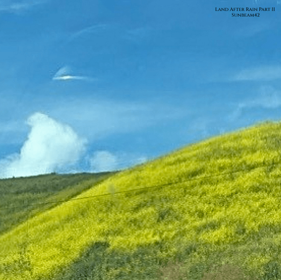 With ‘Land After Rain, Pt. 2’, Sunbeam42 Pushes Ambient Toward the Elemental